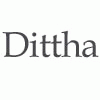 Dittha