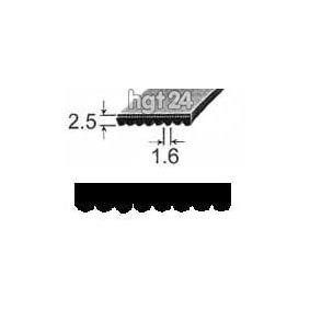 Keilrippenriemen 1181PH8EL - TEM - MA [120203] - Keilrippenriemen Keilriemen 1181PH8EL 1181H8EL 1181PH8MAEL 1181H8MAEL 066521 Waschmaschine Ariston Hotpoint Indesit Merloni 120203 - Keilrippenriemen 1287PH8TEM/EL Poly-V-Riemen Rippenbandriemen Keilriemen 1181PH8EL / 1181H8EL 1181PH8MAEL / 1181H8MAEL Waschmaschine Waschtrockner Alaska Ardo Ariston EBD Hanseatic Hotpoint Indesit Merloni Nordland