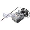 A000848 Thermostat EH 81381375